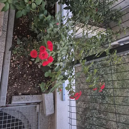 Luminosa Apartament Tučepi