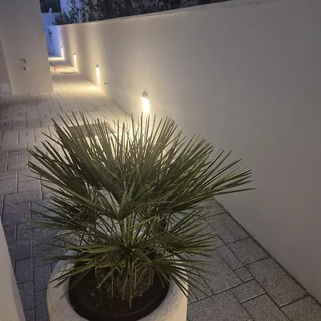 Luminosa *